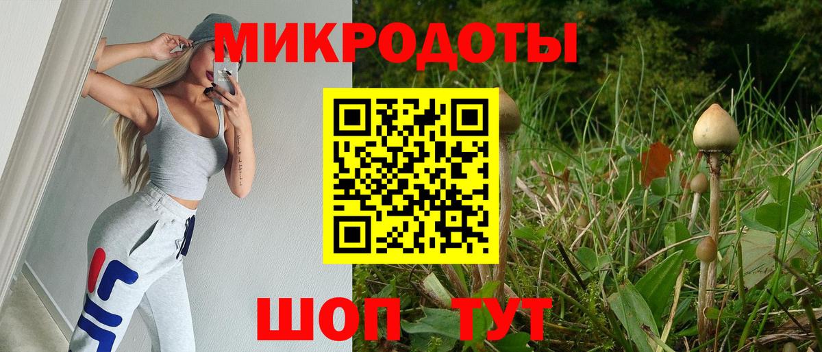 Псилоцибиновые грибы мицелий Каспийск